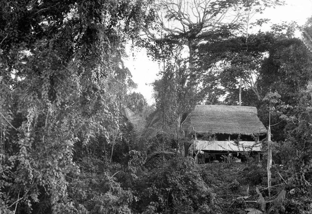 INSTITUTO VIDA LONGA